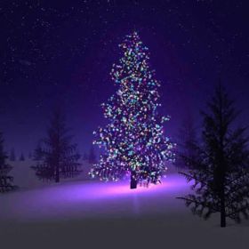 Colorful Firefly - Solar mini LED Christmas lights on Strings (Style: 100 Bulbs)